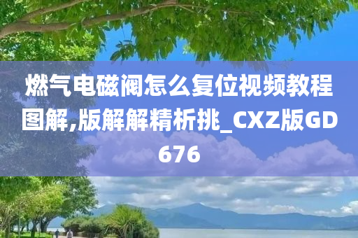 燃气电磁阀怎么复位视频教程图解,版解解精析挑_CXZ版GD676