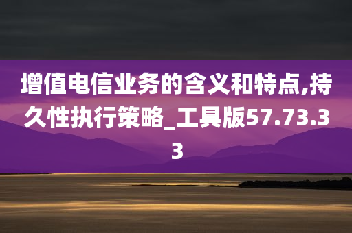 增值电信业务的含义和特点,持久性执行策略_工具版57.73.33