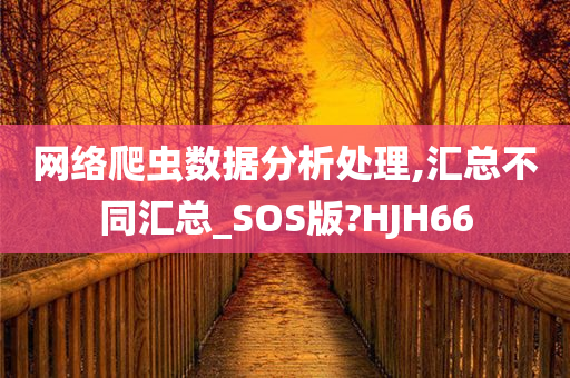 网络爬虫数据分析处理,汇总不同汇总_SOS版?HJH66