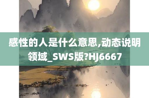 感性的人是什么意思,动态说明领域_SWS版?HJ6667