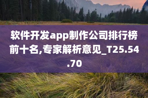 软件开发app制作公司排行榜前十名,专家解析意见_T25.54.70