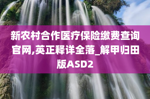 新农村合作医疗保险缴费查询官网,英正释详全落_解甲归田版ASD2