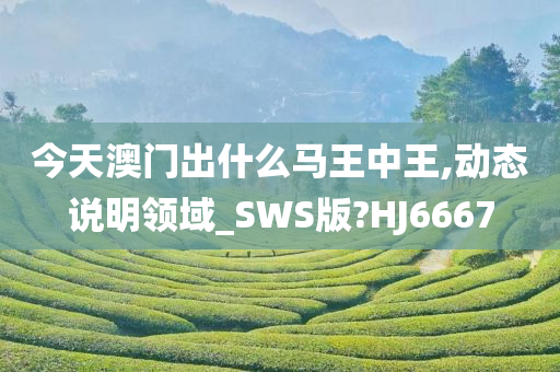 今天澳门出什么马王中王,动态说明领域_SWS版?HJ6667