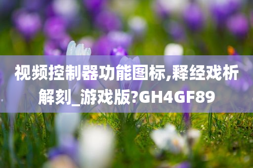 视频控制器功能图标,释经戏析解刻_游戏版?GH4GF89