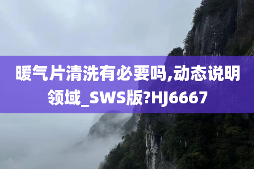 暖气片清洗有必要吗,动态说明领域_SWS版?HJ6667