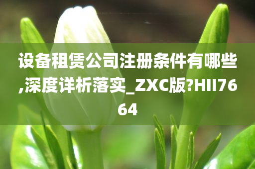 设备租赁公司注册条件有哪些,深度详析落实_ZXC版?HII7664