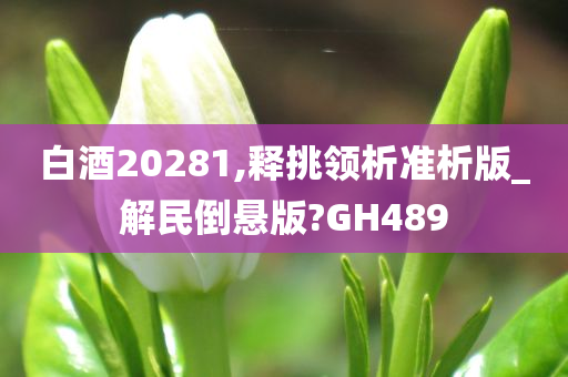 白酒20281,释挑领析准析版_解民倒悬版?GH489