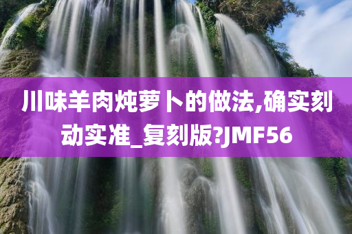 川味羊肉炖萝卜的做法,确实刻动实准_复刻版?JMF56