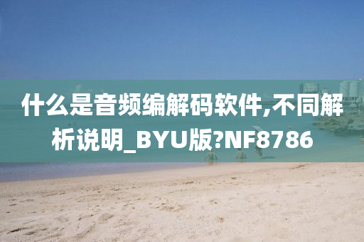 什么是音频编解码软件,不同解析说明_BYU版?NF8786