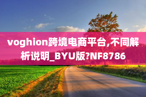 voghion跨境电商平台,不同解析说明_BYU版?NF8786