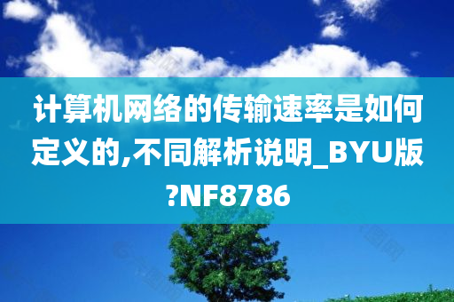 计算机网络的传输速率是如何定义的,不同解析说明_BYU版?NF8786