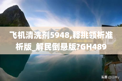 飞机清洗剂5948,释挑领析准析版_解民倒悬版?GH489