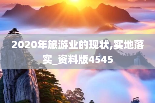 2020年旅游业的现状,实地落实_资料版4545