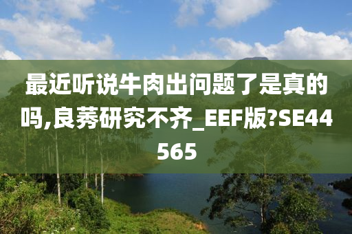 最近听说牛肉出问题了是真的吗,良莠研究不齐_EEF版?SE44565