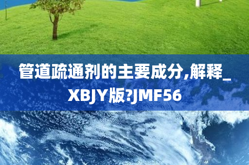 管道疏通剂的主要成分,解释_XBJY版?JMF56