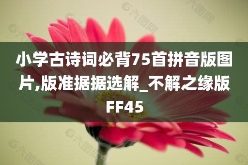 小学古诗词必背75首拼音版图片,版准据据选解_不解之缘版FF45