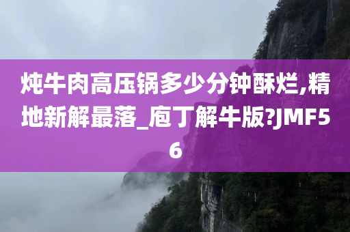 炖牛肉高压锅多少分钟酥烂,精地新解最落_庖丁解牛版?JMF56