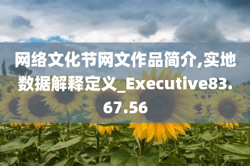 网络文化节网文作品简介,实地数据解释定义_Executive83.67.56