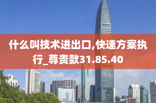 什么叫技术进出口,快速方案执行_尊贵款31.85.40