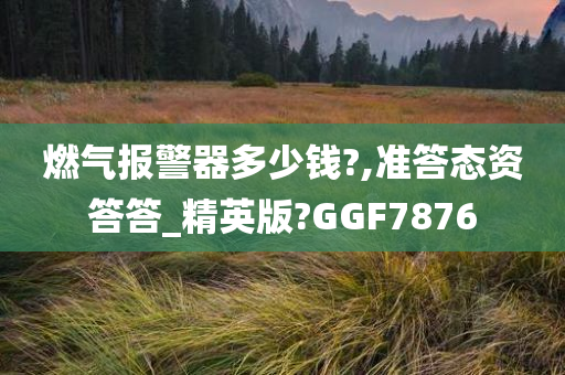 燃气报警器多少钱?,准答态资答答_精英版?GGF7876