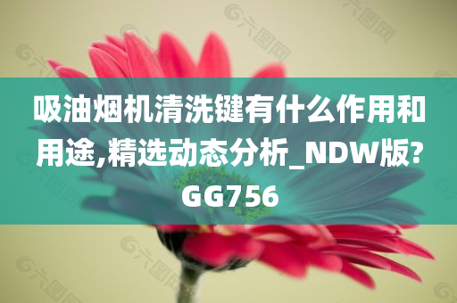 吸油烟机清洗键有什么作用和用途,精选动态分析_NDW版?GG756