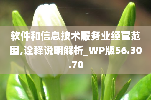 软件和信息技术服务业经营范围,诠释说明解析_WP版56.30.70