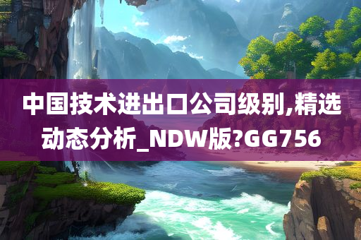 中国技术进出口公司级别,精选动态分析_NDW版?GG756