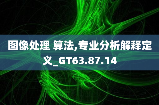 图像处理 算法,专业分析解释定义_GT63.87.14