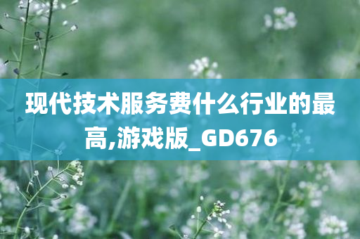 现代技术服务费什么行业的最高,游戏版_GD676