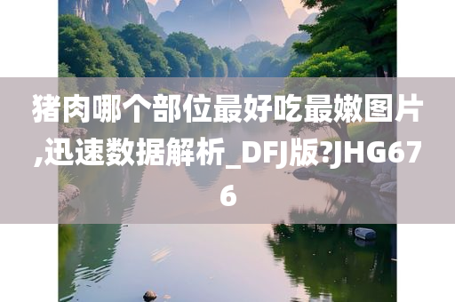 猪肉哪个部位最好吃最嫩图片,迅速数据解析_DFJ版?JHG676