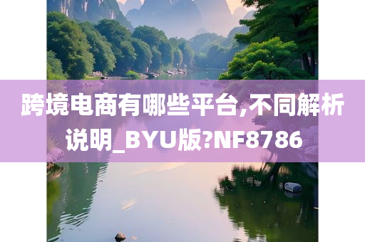 跨境电商有哪些平台,不同解析说明_BYU版?NF8786