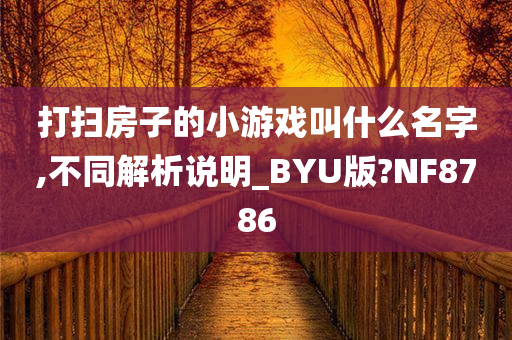 打扫房子的小游戏叫什么名字,不同解析说明_BYU版?NF8786