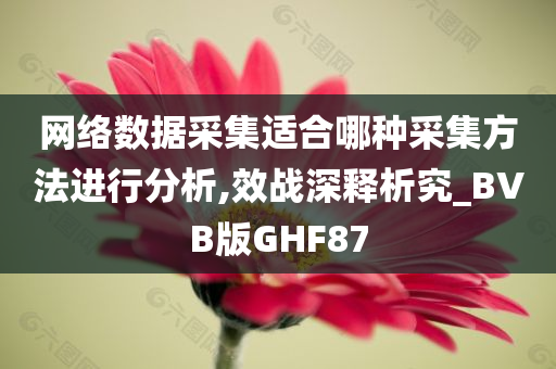 网络数据采集适合哪种采集方法进行分析,效战深释析究_BVB版GHF87