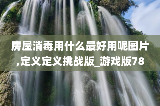 房屋消毒用什么最好用呢图片,定义定义挑战版_游戏版78