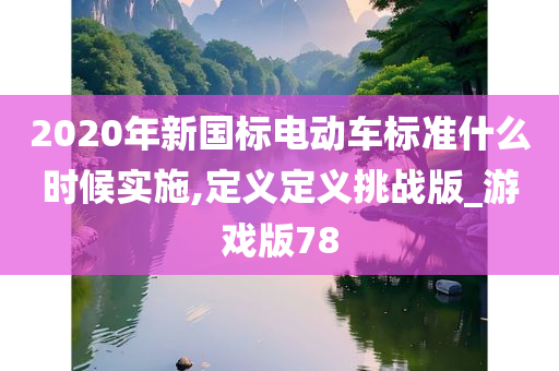 2020年新国标电动车标准什么时候实施,定义定义挑战版_游戏版78