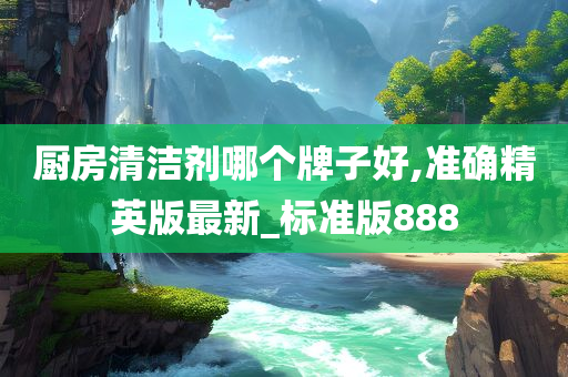 厨房清洁剂哪个牌子好,准确精英版最新_标准版888