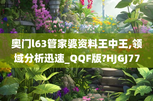 奥门l63管家婆资料王中王,领域分析迅速_QQF版?HJGJ77