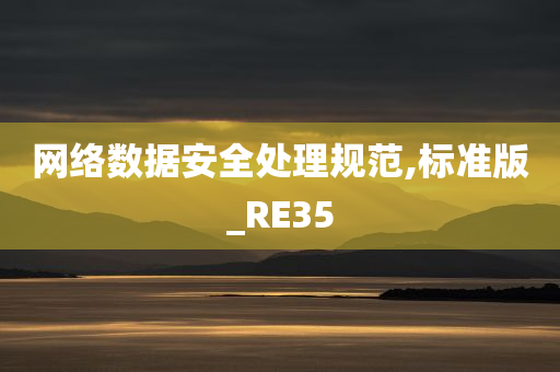 网络数据安全处理规范,标准版_RE35