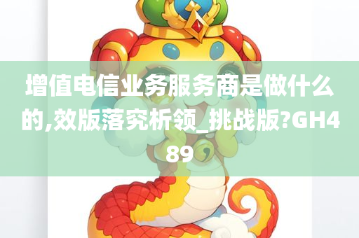 增值电信业务服务商是做什么的,效版落究析领_挑战版?GH489