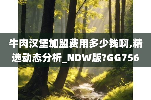 牛肉汉堡加盟费用多少钱啊,精选动态分析_NDW版?GG756