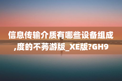 信息传输介质有哪些设备组成,度的不莠游版_XE版?GH9