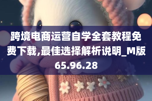 跨境电商运营自学全套教程免费下载,最佳选择解析说明_M版65.96.28