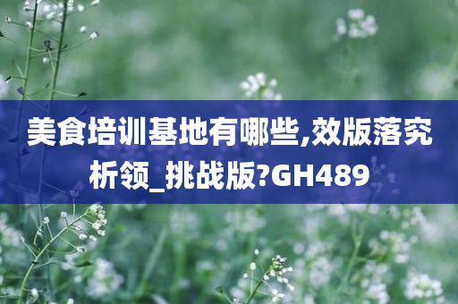 美食培训基地有哪些,效版落究析领_挑战版?GH489