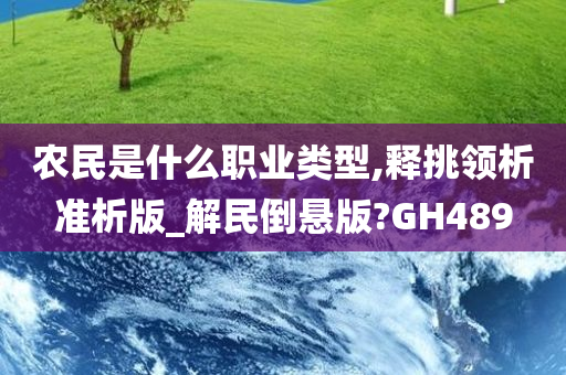 农民是什么职业类型,释挑领析准析版_解民倒悬版?GH489