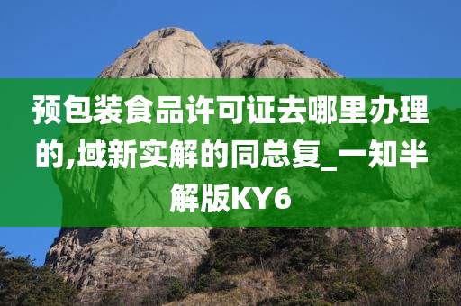 预包装食品许可证去哪里办理的,域新实解的同总复_一知半解版KY6