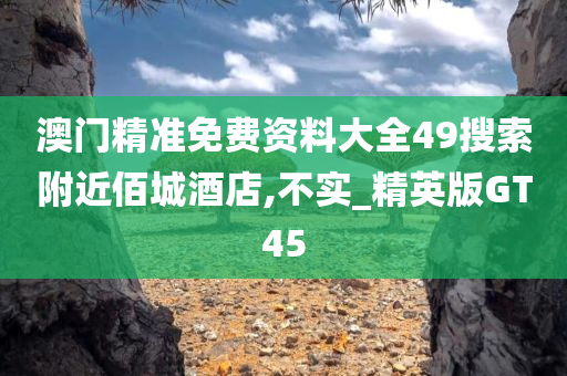 澳门精准免费资料大全49搜索附近佰城酒店,不实_精英版GT45