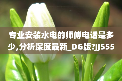 专业安装水电的师傅电话是多少,分析深度最新_DG版?JJ555