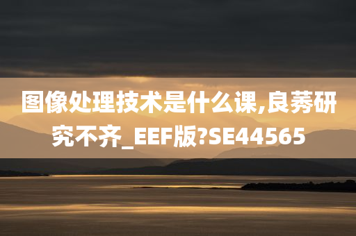 图像处理技术是什么课,良莠研究不齐_EEF版?SE44565