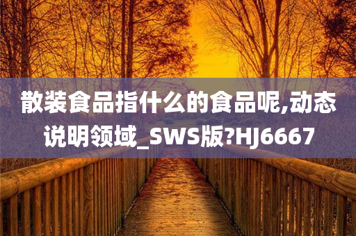 散装食品指什么的食品呢,动态说明领域_SWS版?HJ6667