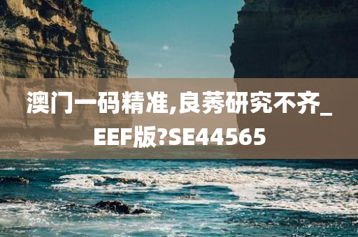 澳门一码精准,良莠研究不齐_EEF版?SE44565